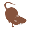 Mouse ｜ Mouse ――Clip Art ｜ Illustration ｜ Free Material
