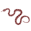 Snake ｜ Snake-Clip Art ｜ Illustration ｜ Free Material
