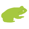 Frog ｜ Frog-Clip art ｜ Illustration ｜ Free material