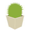 Cactus ｜ Plants-Clip Art ｜ Illustrations ｜ Free Material