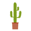 Cactus --Clip Art ｜ Illustration ｜ Free Material