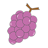 Grape / Grape ｜ Grape --Clip Art ｜ Illustration ｜ Free Material