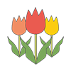 Tulips ｜ Flowers ――Clip Art ｜ Illustrations ｜ Free Material