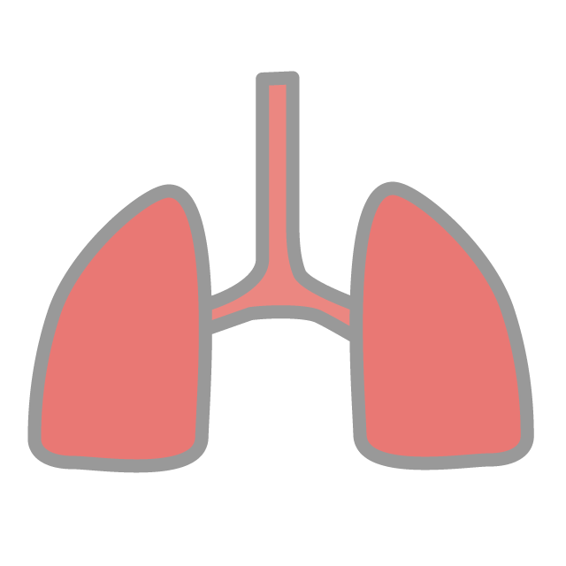 Lungs-Illustrations / Clip Art / Free / Home Appliances / Vehicles / Animals / Furniture / Illustrations / Downloads