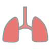 Lungs-Clip Art | Illustrations | Free Material