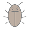 Cockroach | Pests-Clip Art | Illustrations | Free Material